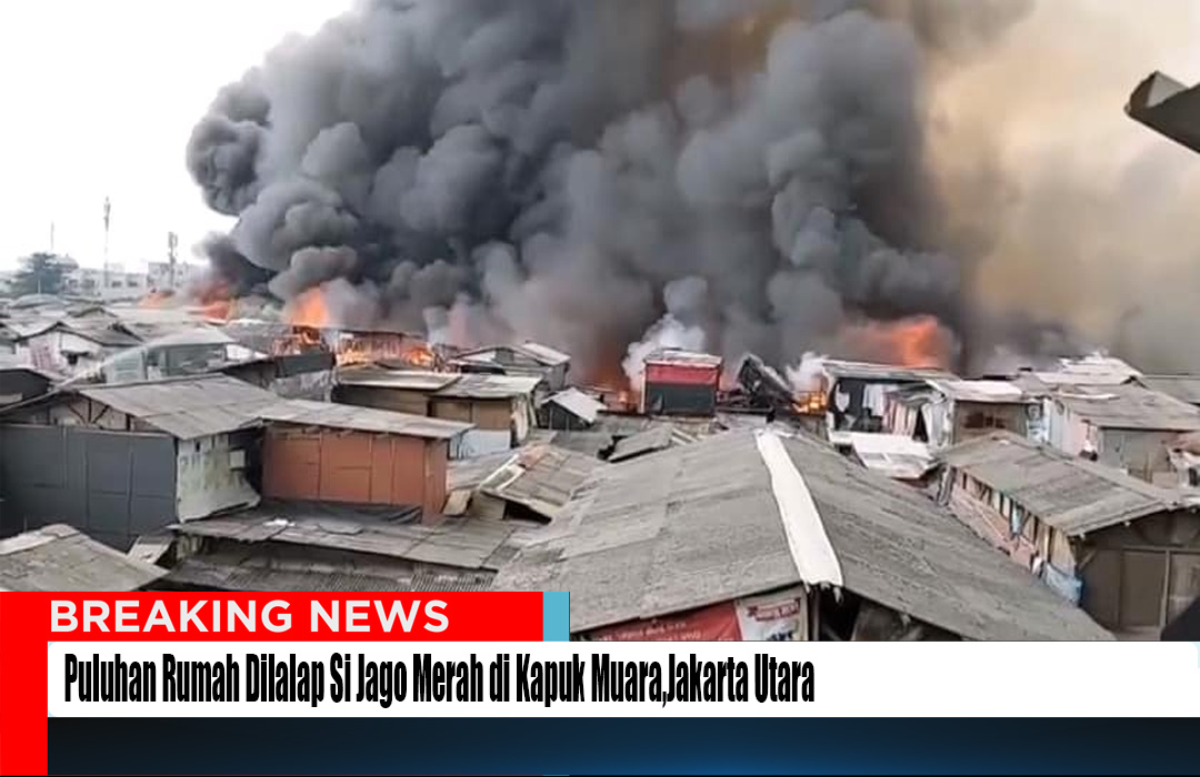 Puluhan Rumah Dilalap