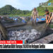 Transjakarta Salurkan Bibit Kerapu