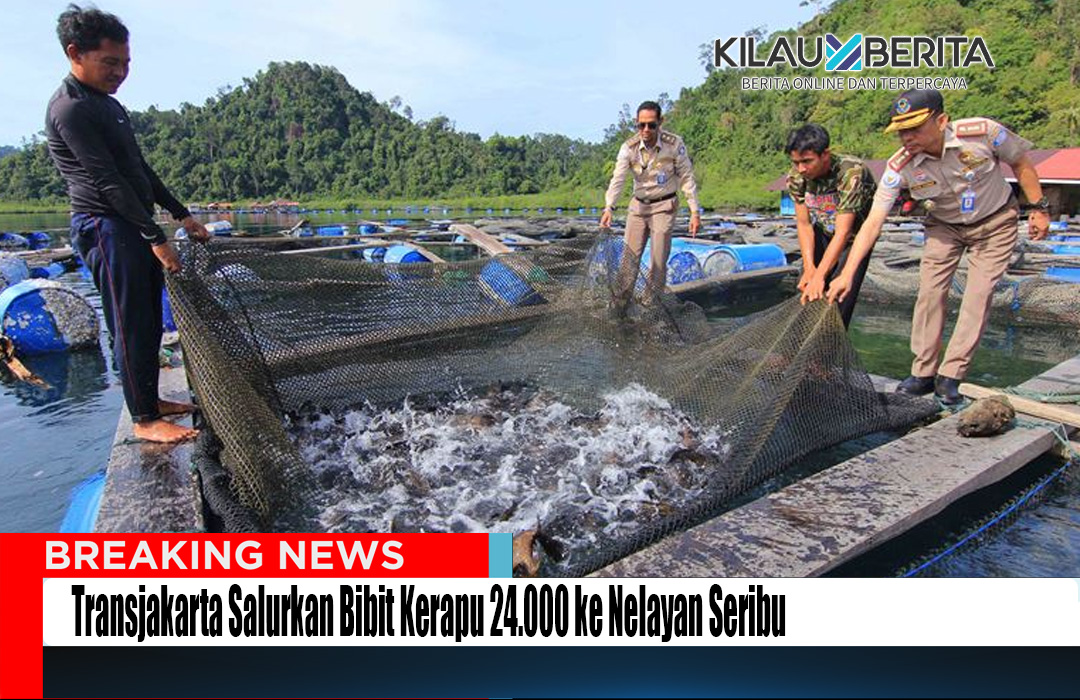 Transjakarta Salurkan Bibit Kerapu
