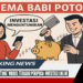 Skema Babi Potong