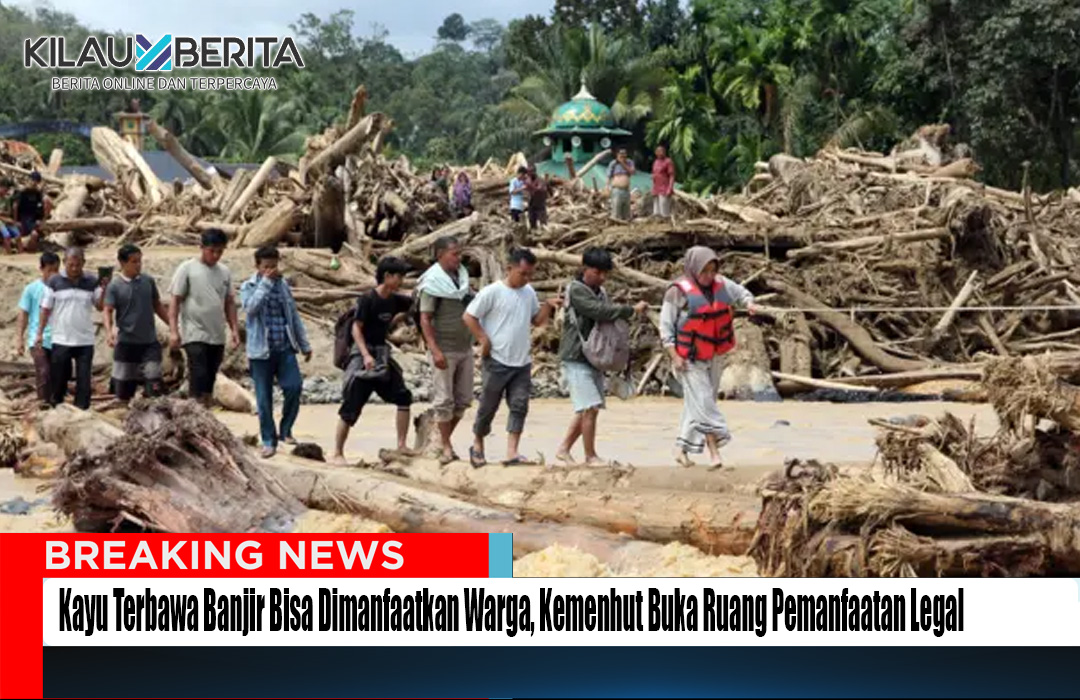 Kemenhut Sebut Kayu Terbawa Banjir Dapat Dimanfaatkan